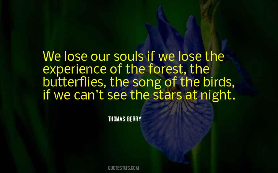 Quotes About Night Birds #1363545