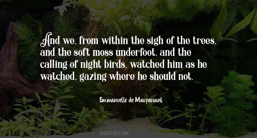 Quotes About Night Birds #1878750