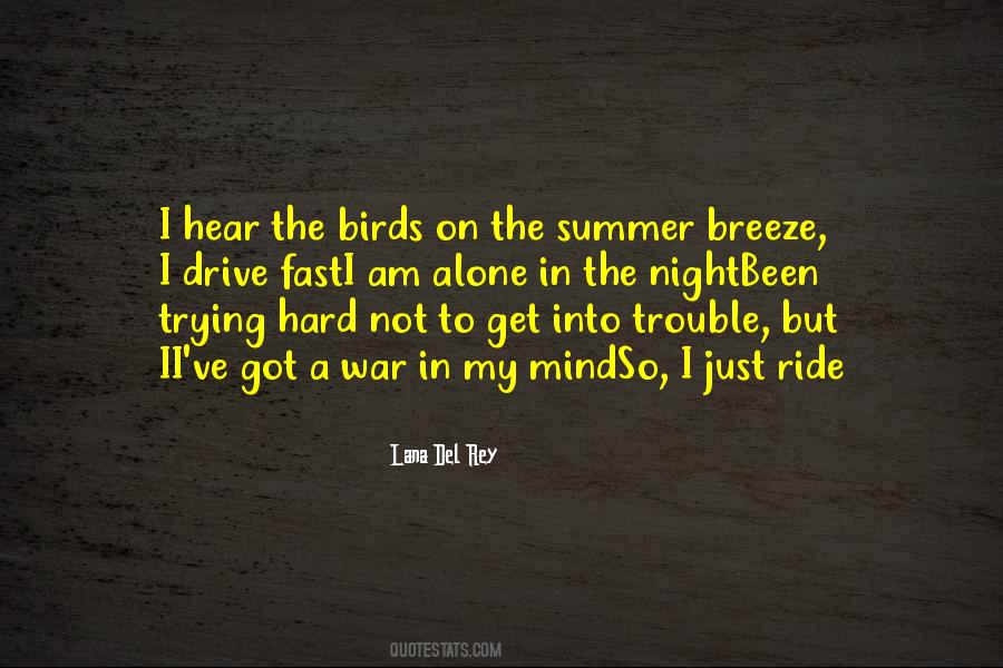 Quotes About Night Birds #680069