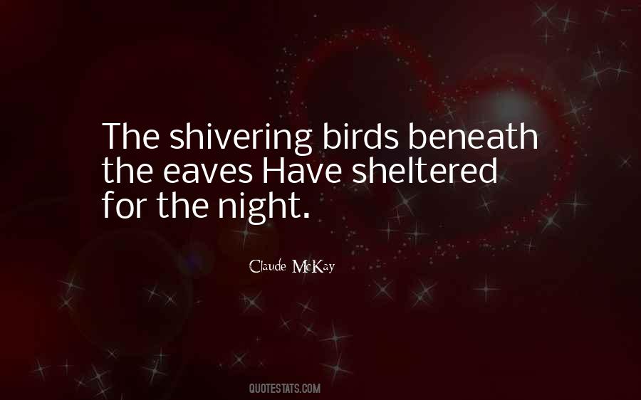 Quotes About Night Birds #862740
