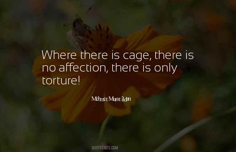 Quotes About No Affection #1078150