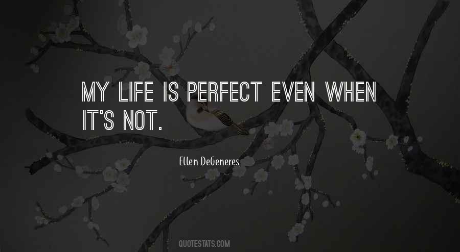 Quotes About Life Is Not Perfect #1158974