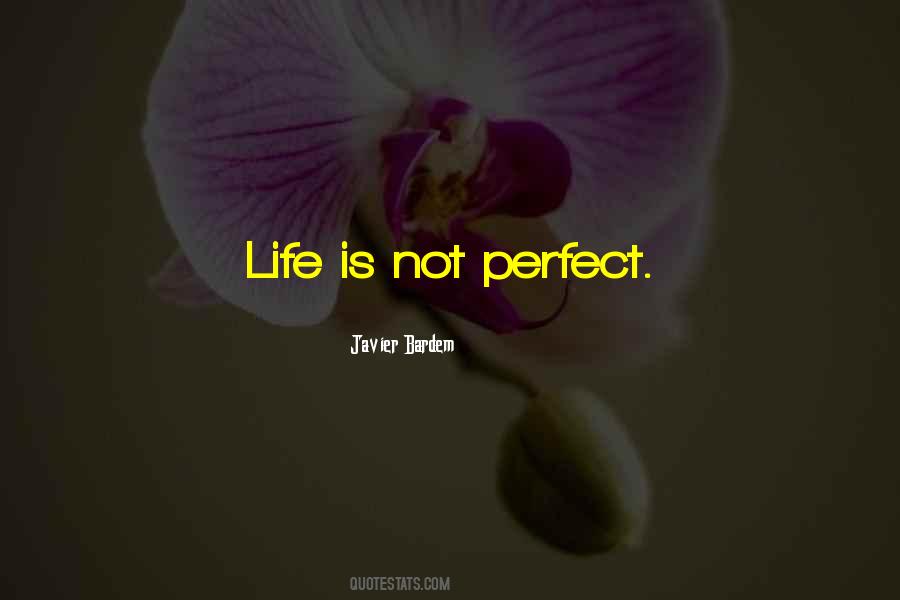 Quotes About Life Is Not Perfect #1808927