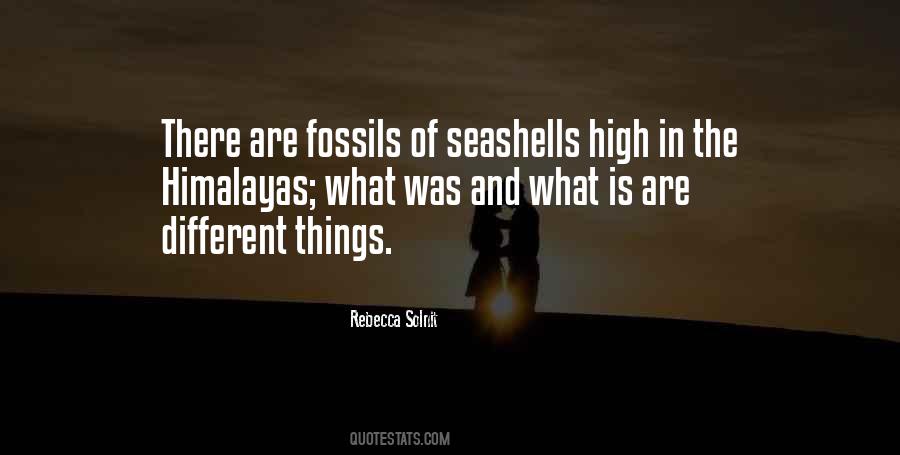 Quotes About Seashells #722525