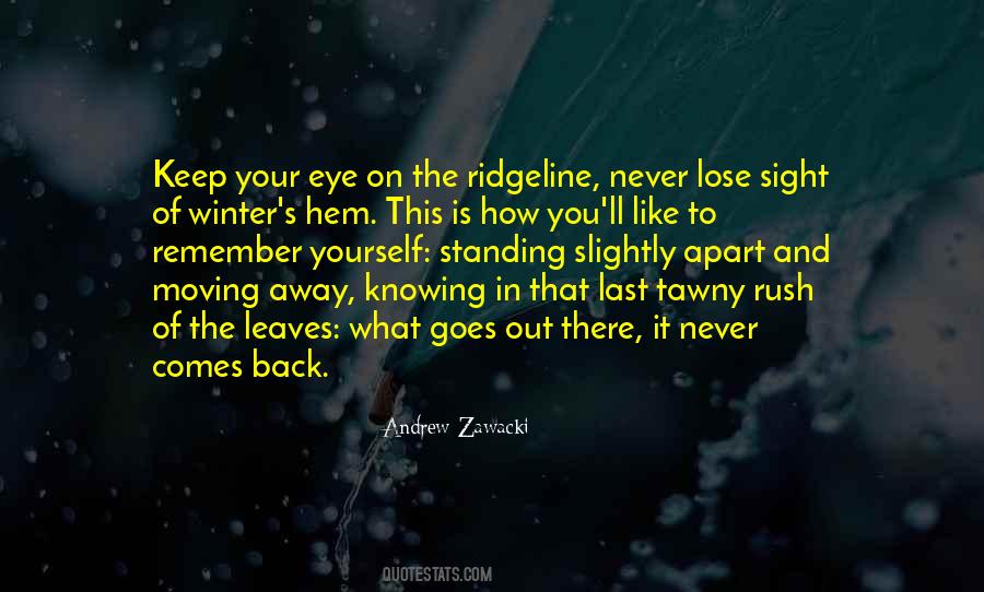 Quotes About Someone You Like Moving Away #565388