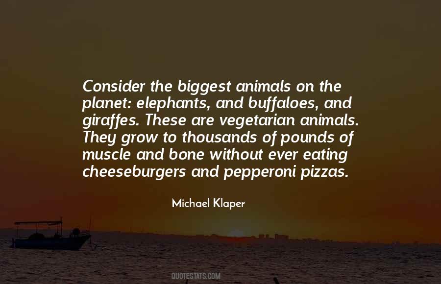 Quotes About Cheeseburgers #528030