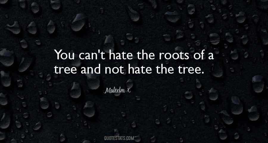 Quotes About Tree Roots #149210