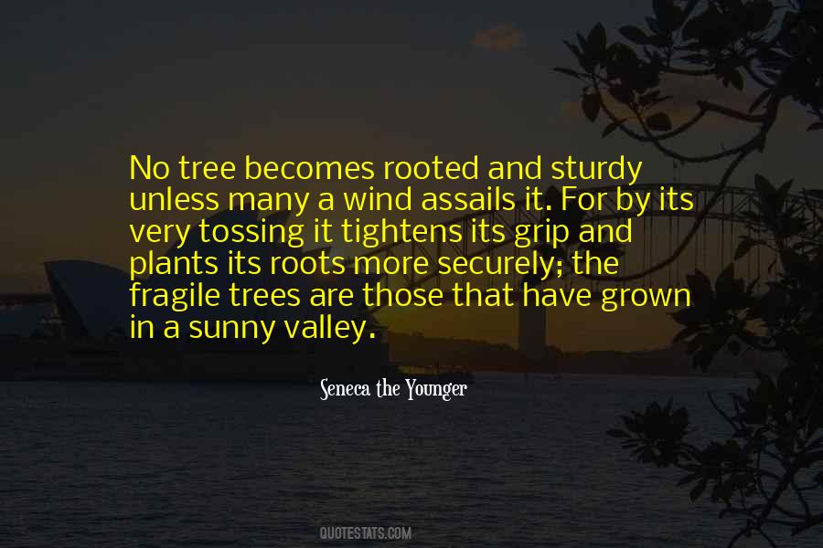 Quotes About Tree Roots #173557