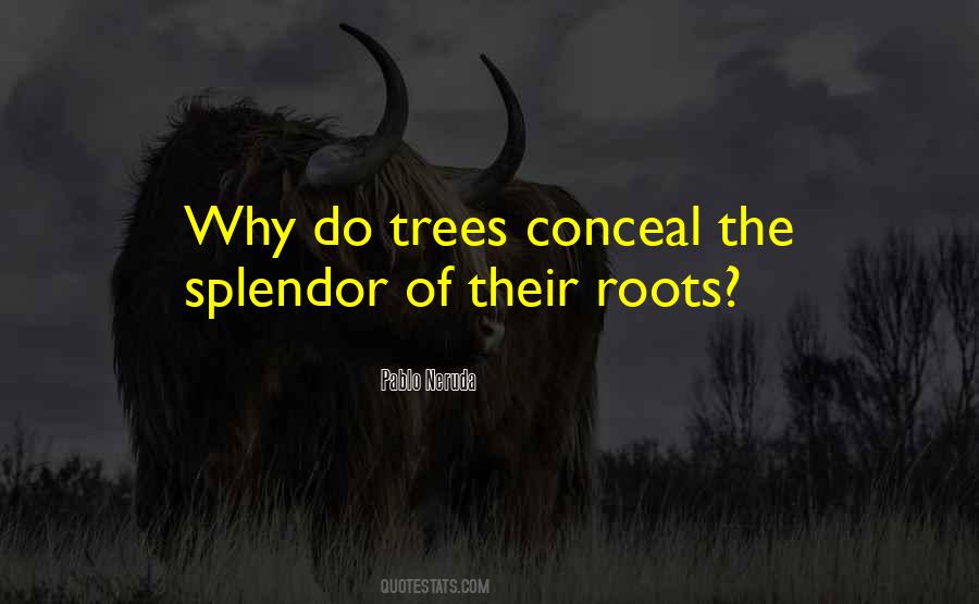 Quotes About Tree Roots #384053