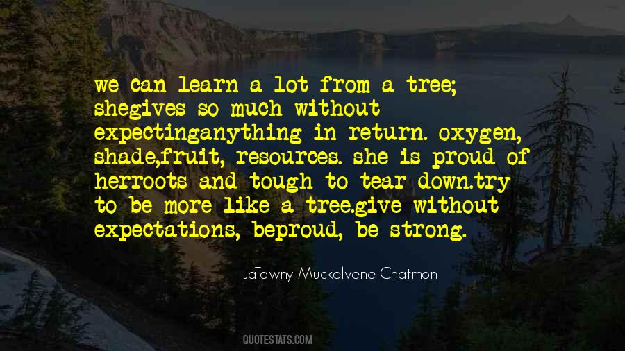 Quotes About Tree Roots #590097