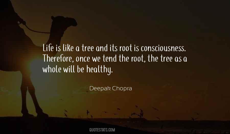 Quotes About Tree Roots #683504