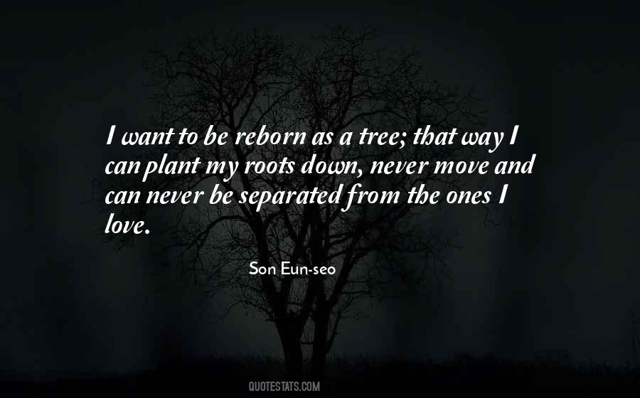 Quotes About Tree Roots #886828