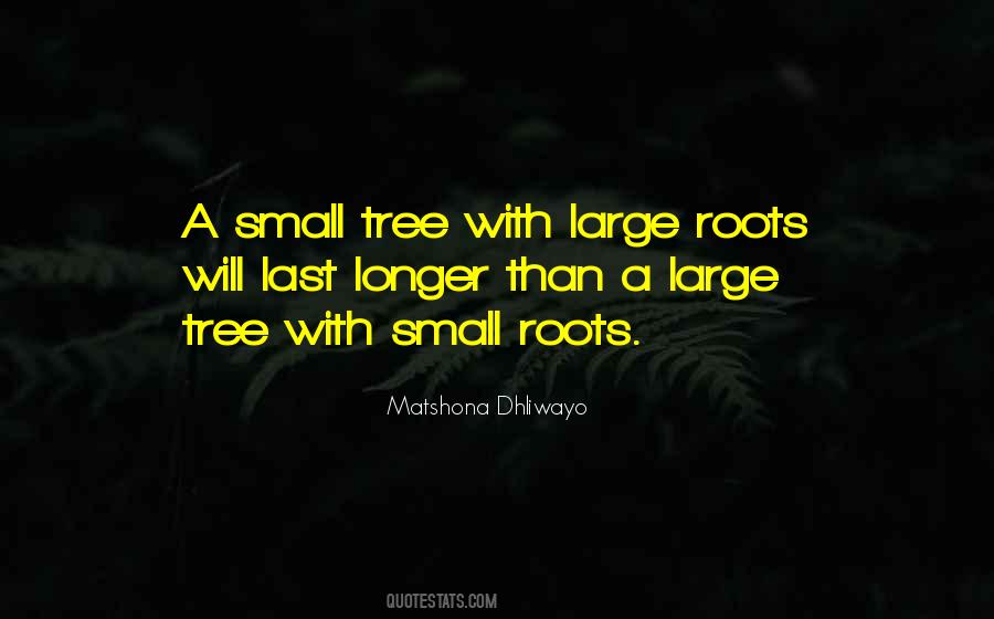 Quotes About Tree Roots #98919