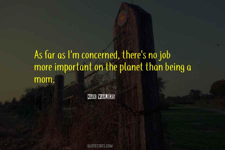 More Than A Job Quotes #371823