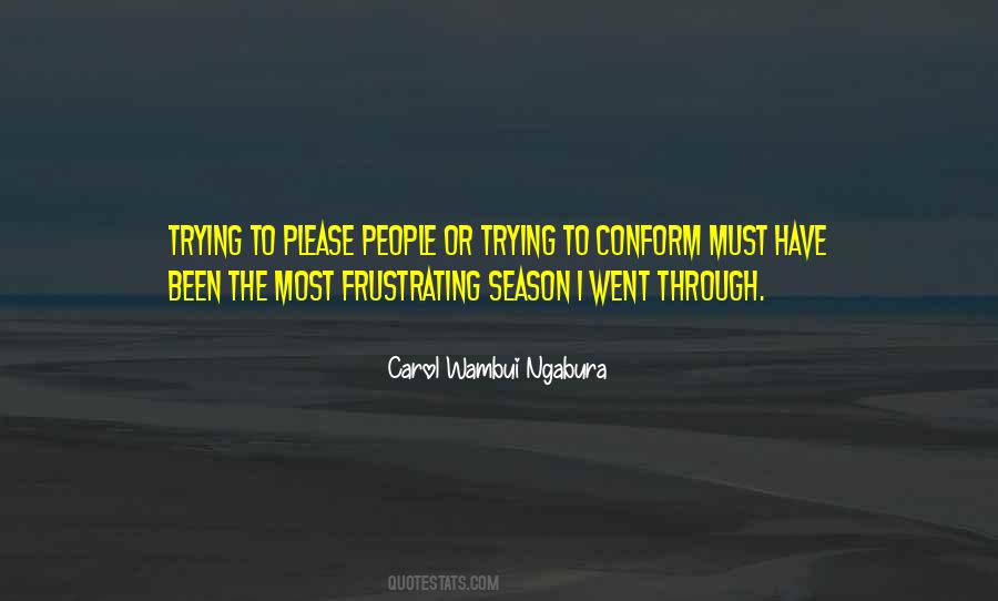 Frustrating People Quotes #920613