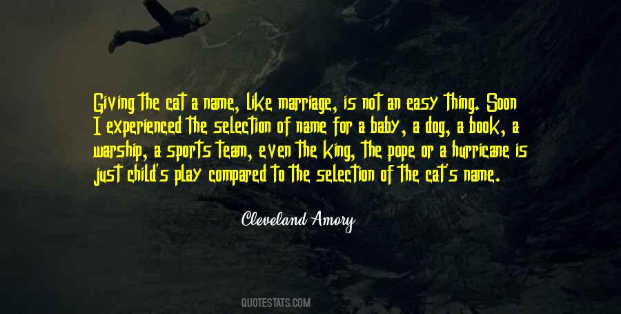 Quotes About Team Sports #104331