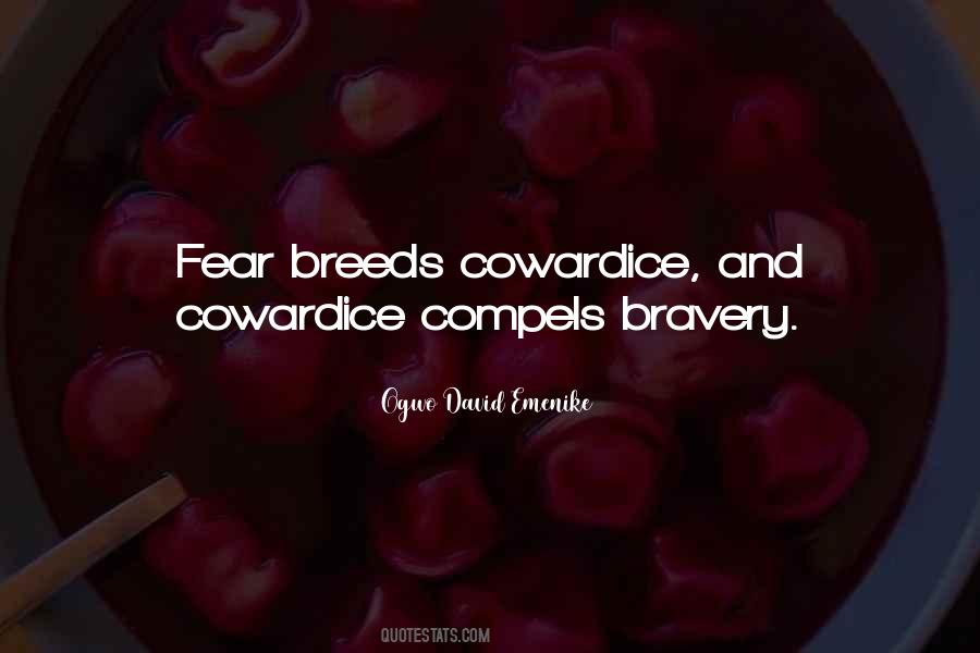 Quotes About Bravery And Fear #992727