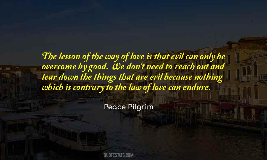 Law And Evil Quotes #426087