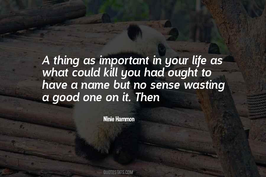Quotes About Wasting Your Life #714993