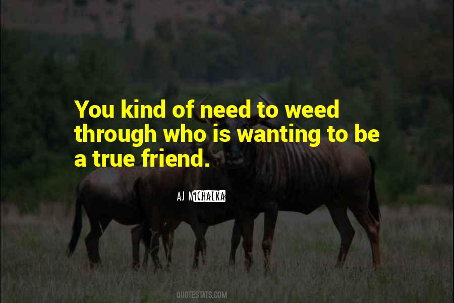 Quotes About Who Is A True Friend #120776