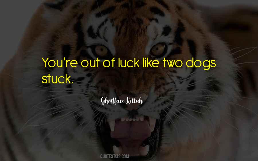 Quotes About Two Dogs #254015