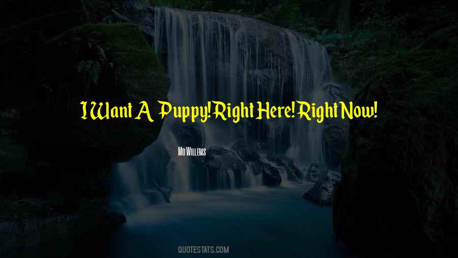Quotes About Puppies #234444 Quotes About Puppies #234444
