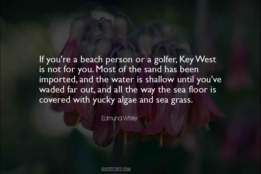 Quotes About Shallow Water #53715