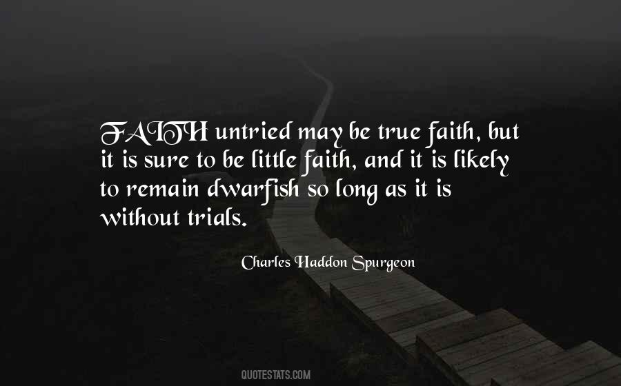 Little Faith Quotes #1174004