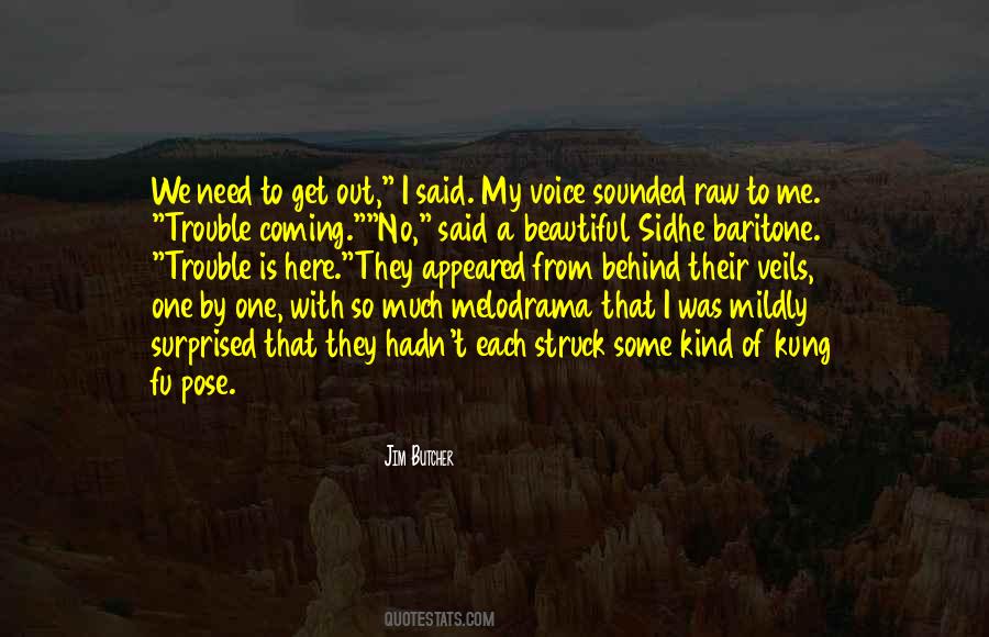 Some Kind Of Beautiful Quotes #1011594