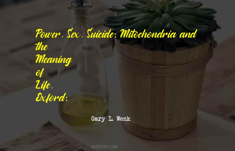 Quotes About Oxford #47366 Quotes About Oxford #47366