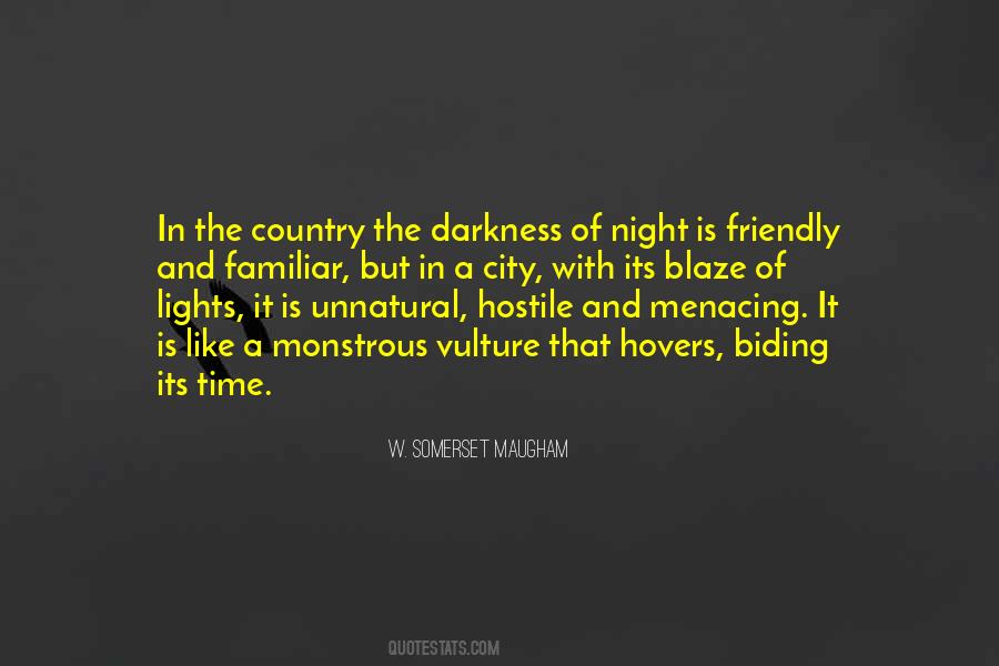 Quotes About The Darkness Of Night #78893