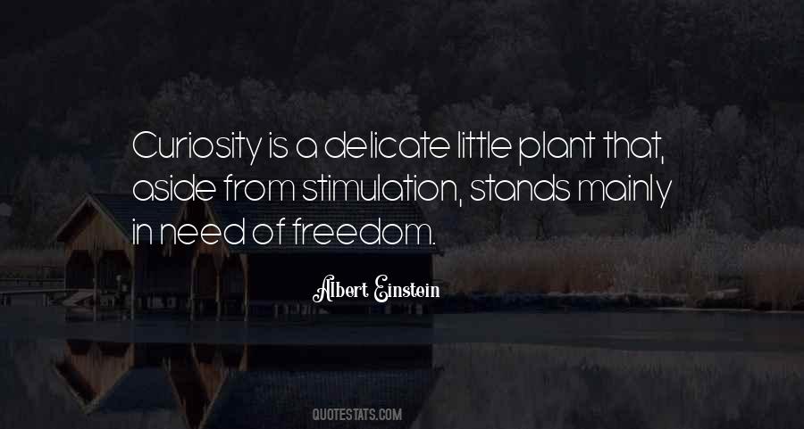 Quotes About Curiosity Einstein #1220462