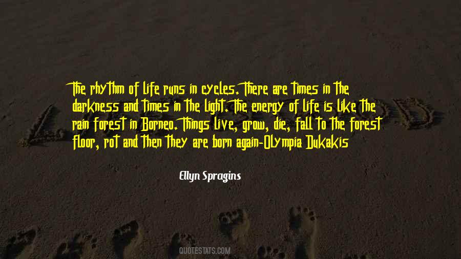 Quotes About Life Cycles #1810213