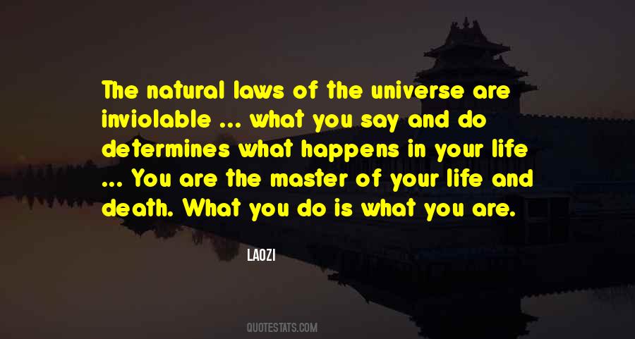 Law Of The Universe Quotes #535148