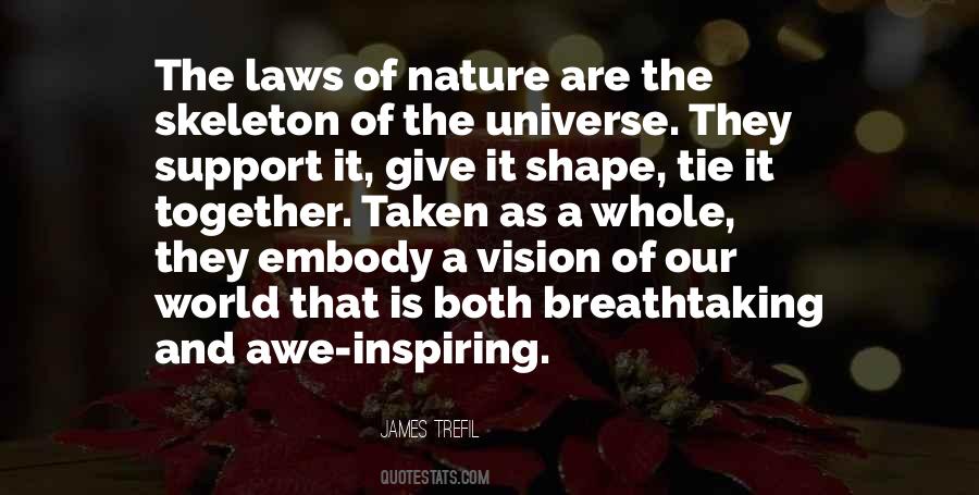 Law Of The Universe Quotes #552779