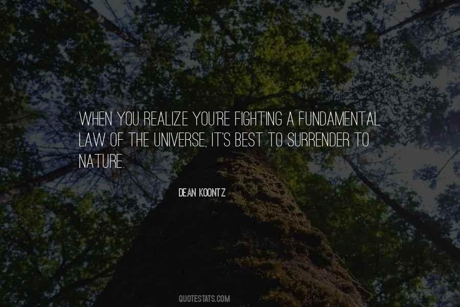 Law Of The Universe Quotes #567519