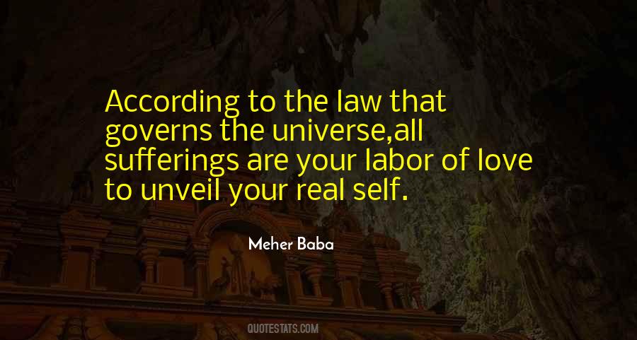 Law Of The Universe Quotes #607896