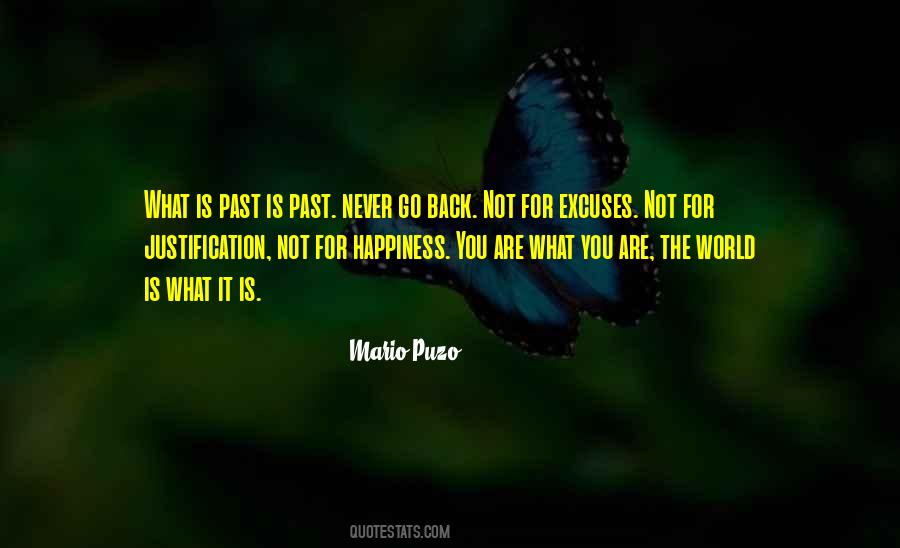 Past Is Past Quotes #126524