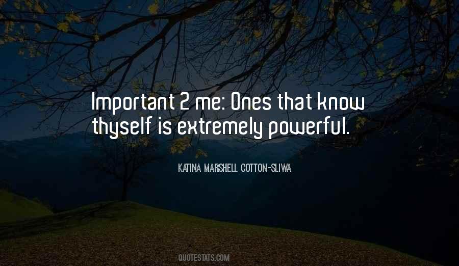 Quotes About Know Thyself #863767