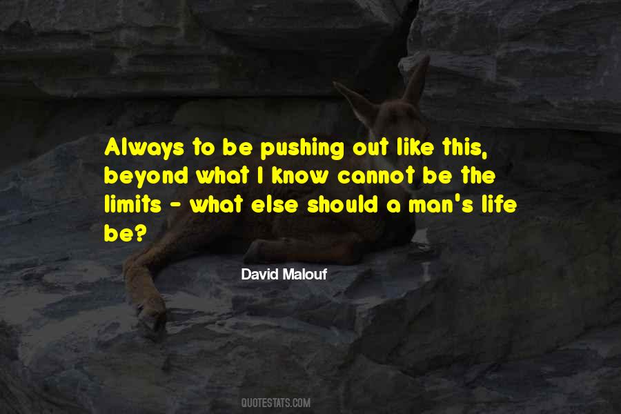 Quotes About Pushing Past Your Limits #302733