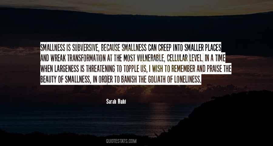 Quotes About Smallness #493756