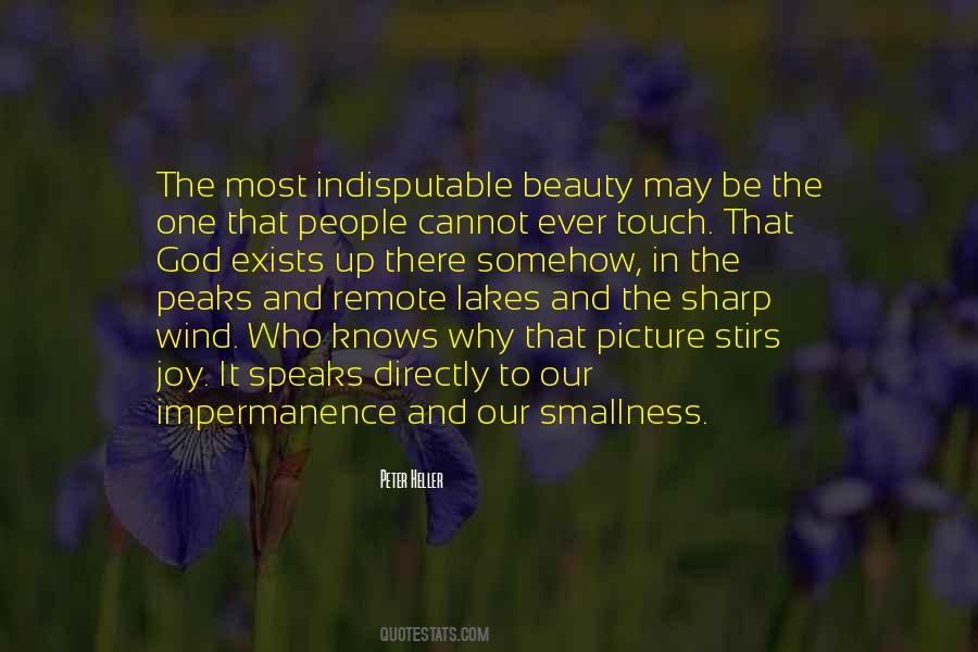 Quotes About Smallness #652817