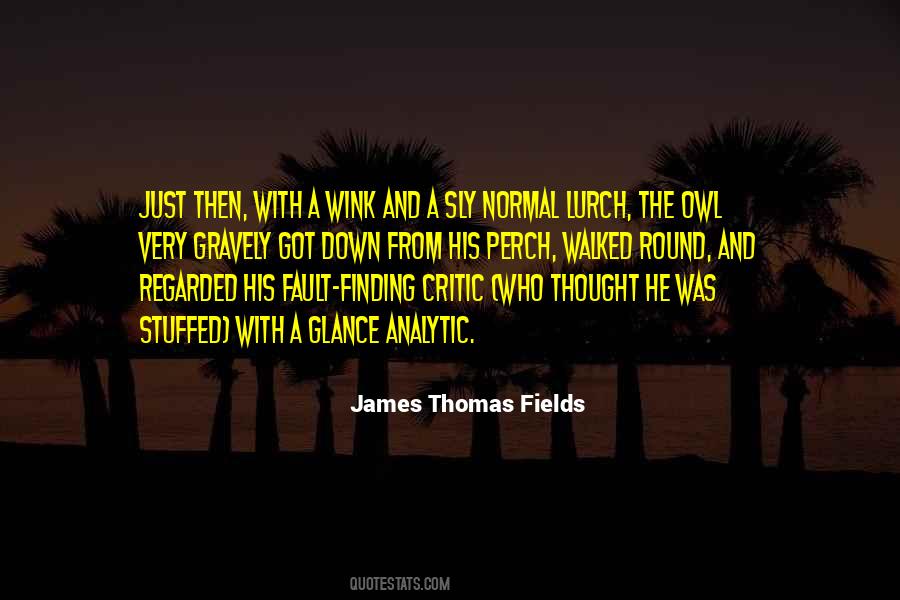 Quotes About Finding Faults In Others #1353593