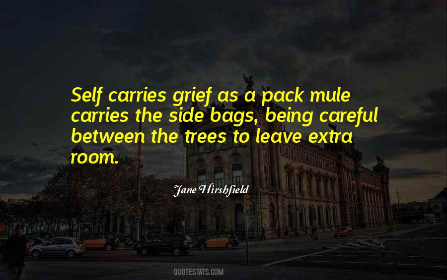 Quotes About Being Careful #1701999