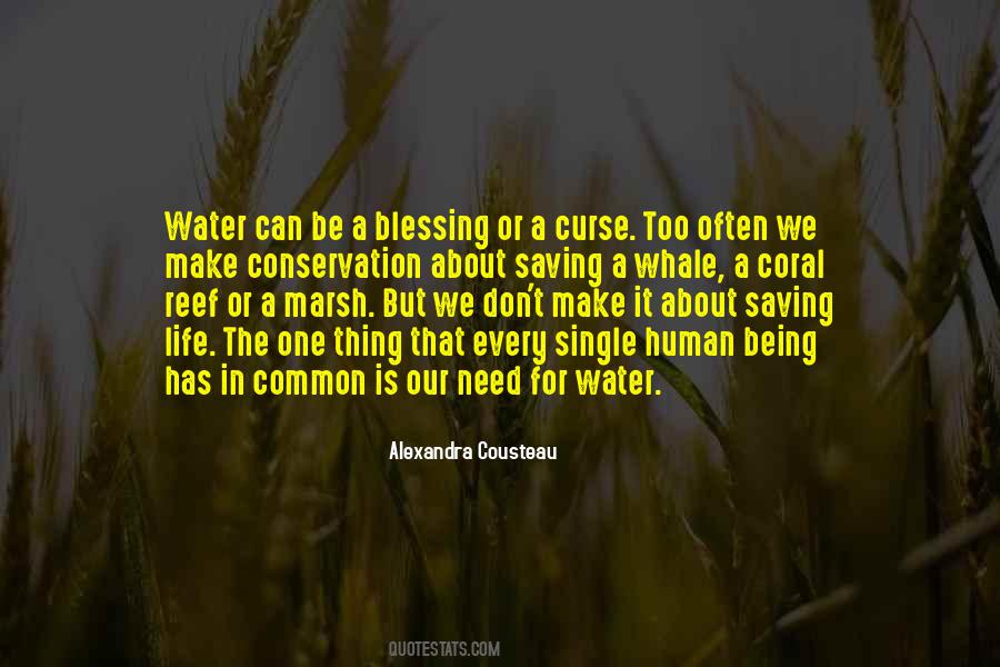 Quotes About Water Conservation #1317665