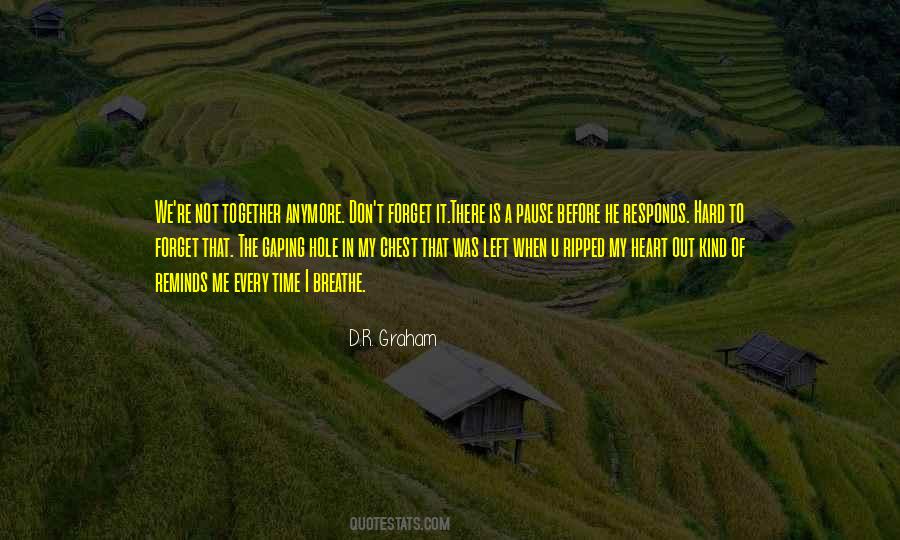 Quotes About A Hole In My Heart #1233291
