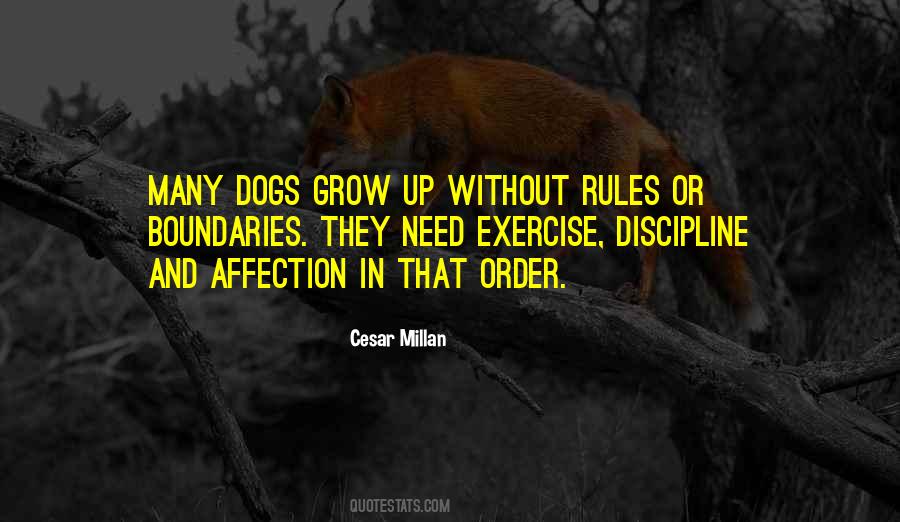 Quotes About Rules And Order #144065
