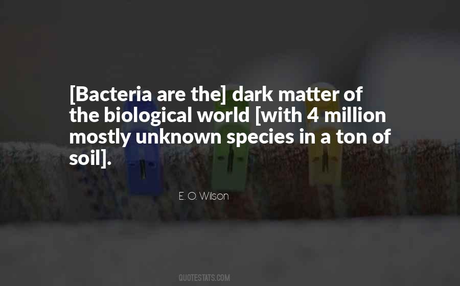 Quotes About Bacteria #352715