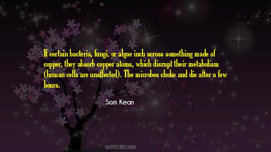 Quotes About Bacteria #657912