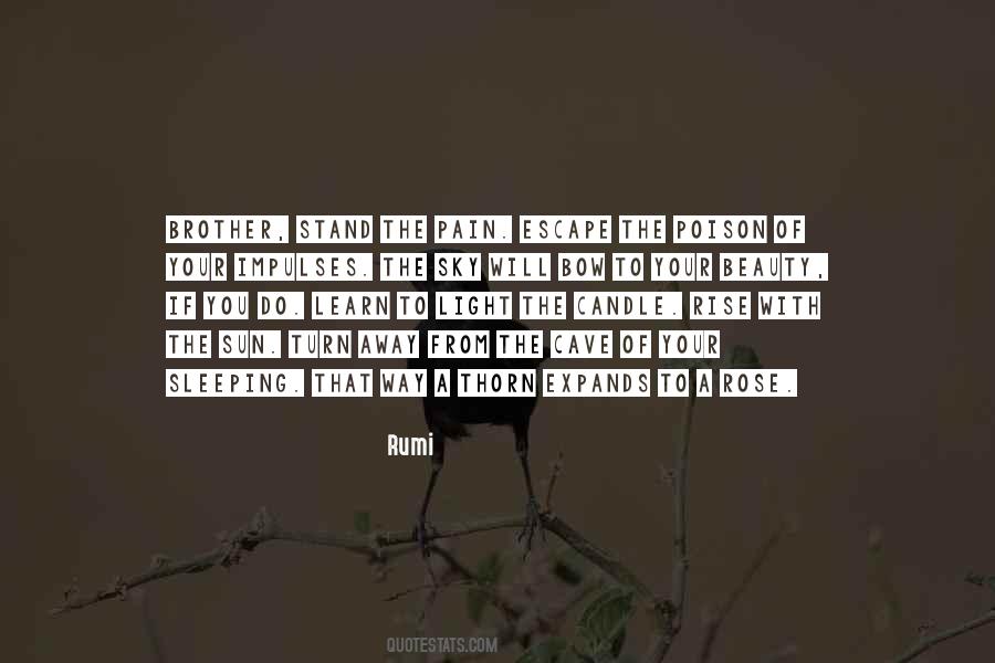 You Will Rise Quotes #368713